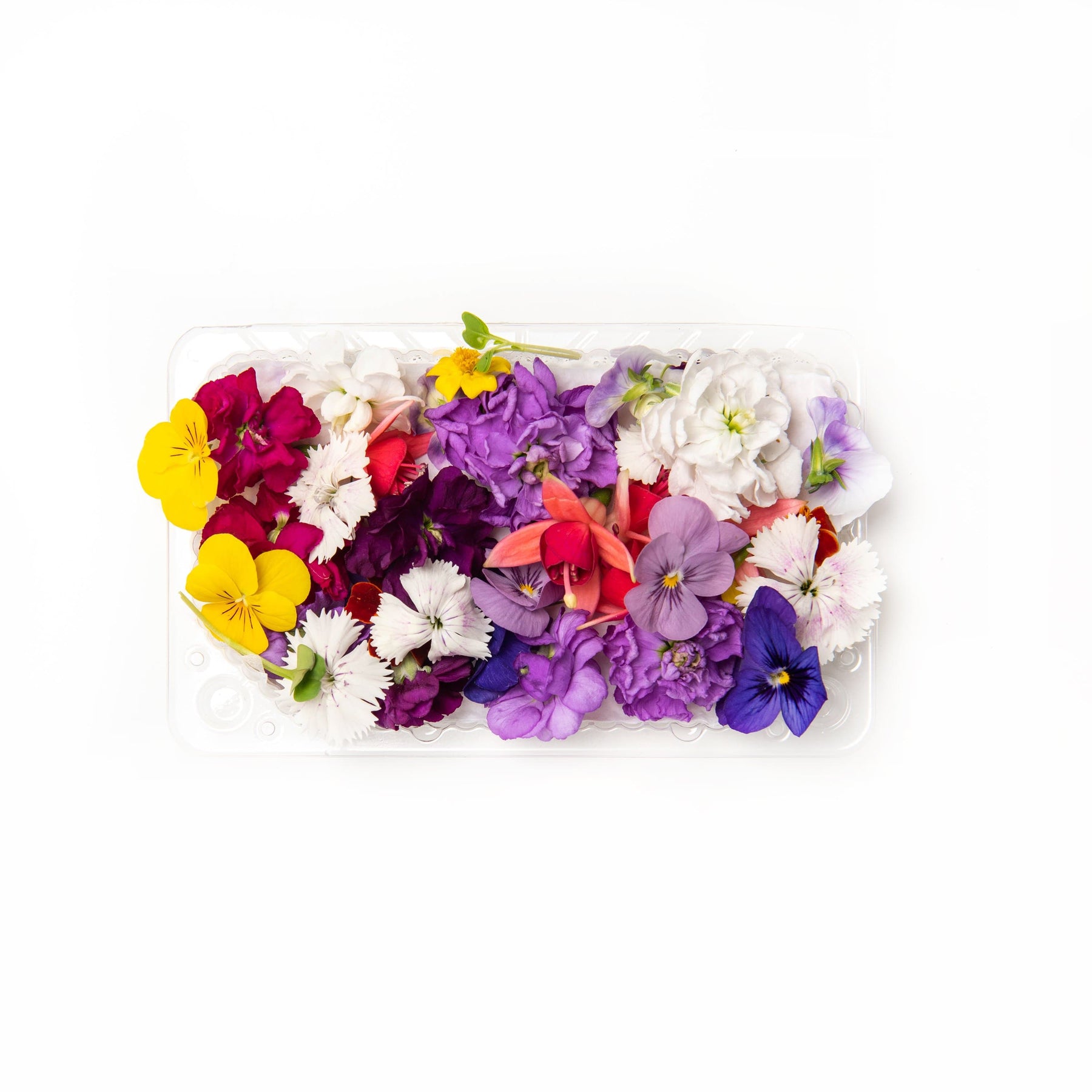 Rainbow Mix - Edible Flower Mix - The Peel Thing